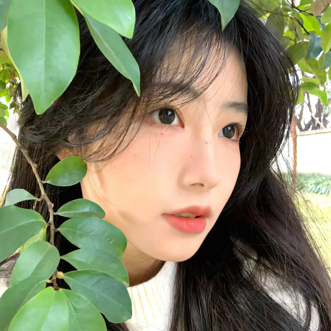 完美现在时