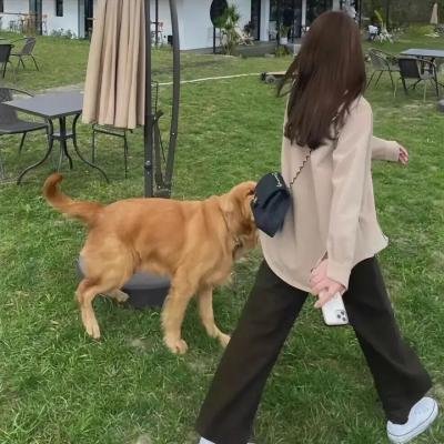 真情无限之养母生母